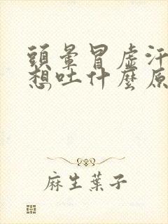 头晕冒虚汗恶心想吐什么原因