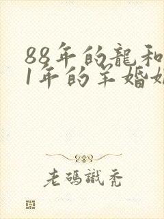 88年的龙和91年的羊婚姻怎么样?