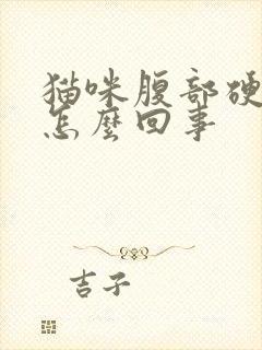 猫咪腹部硬硬的怎么回事封面