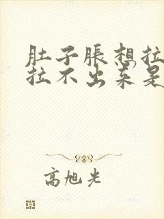 肚子胀想拉屎又拉不出来是怎么回事