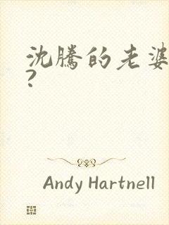 沈腾的老婆是谁?