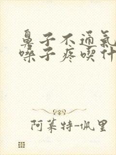 鼻子不通气头疼嗓子疼吃什么药