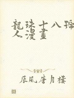 龙珠十八号龟仙人漫画封面