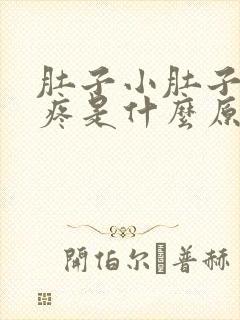 肚子小肚子左边疼是什么原因