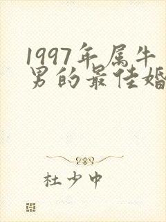 1997年属牛男的最佳婚配