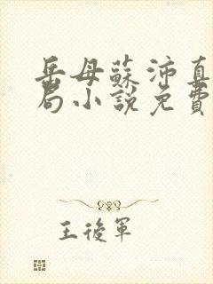 岳母苏沛真大结局小说免费阅读全文下载