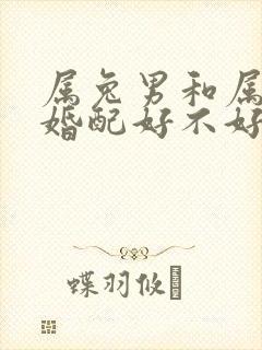 属兔男和属猴女婚配好不好