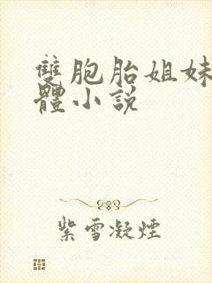 双胞胎姐妹复制体小说封面