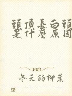 头顶长白头发多是什么原因造成的