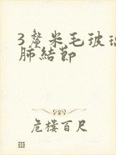 3厘米毛玻璃样肺结节封面