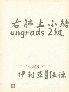 右肺上小结节lungrads 2级