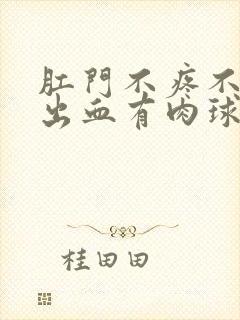 肛门不疼不痒不出血有肉球咋回事