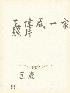 王伟成一家三口照片