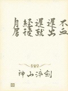 月经迟迟不来同房后就出血封面