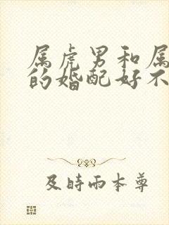 属虎男和属牛女的婚配好不好