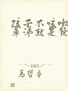 孩子不咳嗽不流鼻涕就是发烧怎么回事