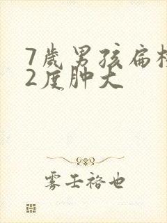 7岁男孩扁桃体2度肿大封面