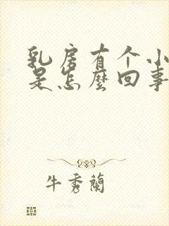 乳房有个小硬块是怎么回事