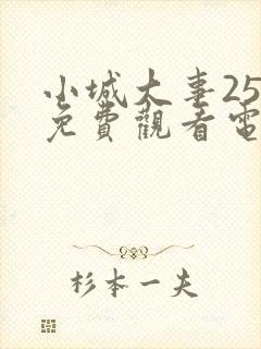 小城大事25集免费观看电视剧剧情封面