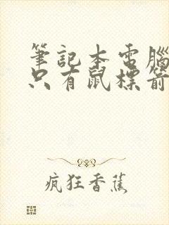 笔记本电脑打开只有鼠标箭头黑屏怎么办封面