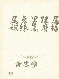 属兔男跟属猴的姻缘怎么样