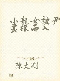 小龙女被尹志平尽根而入