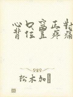 心口窝正对的后背位置疼痛