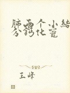 肺两个小结节部分钙化灶