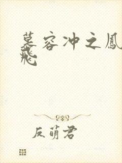 慕容冲之凤凰于飞封面