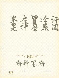 半夜冒冷汗头晕是什么原因引起的