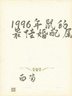 1996年鼠的最佳婚配属相封面