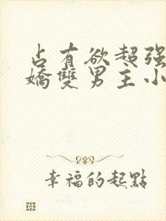 占有欲超强的病娇双男主小说推荐