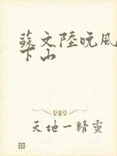 苏文陆晚风阎王下山