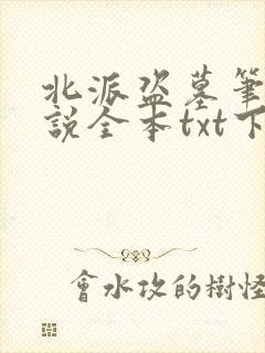 北派盗墓笔记小说全本txt下载封面