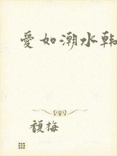 爱如潮水韩