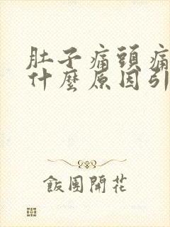 肚子痛头痛想吐什么原因引起的