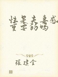 性是夫妻感情最重要的吗