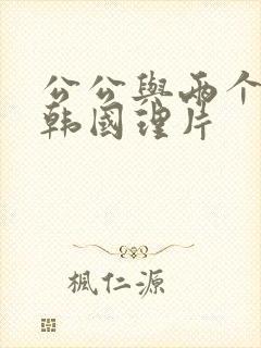 公公与两个儿媳韩国理片