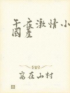 午夜激情小视频国产封面