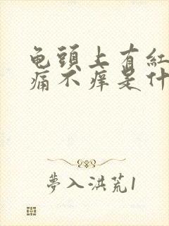 龟头上有红斑不痛不痒是什么引起的