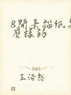 8开素描纸是什么样的