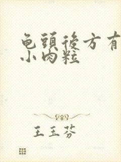 龟头后方有一排小肉粒