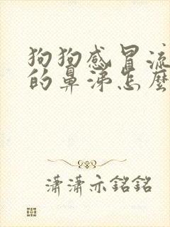 狗狗感冒流黄色的鼻涕怎么办