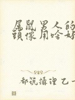 属鼠男人的微信头像用啥好 聚财