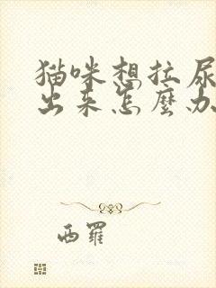 猫咪想拉尿拉不出来怎么办