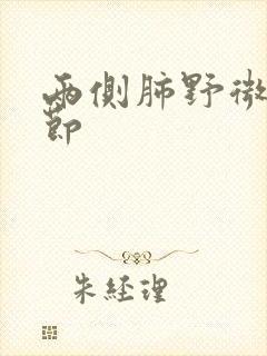 两侧肺野微小结节