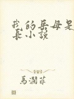 我的岳母是董事长小说