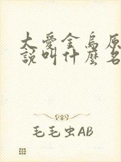 大爱金乌原著小说叫什么名字封面