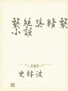 系统集精系统 小说封面