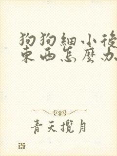 狗狗细小后不吃东西怎么办